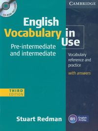 English Vocabulary in Use   CD