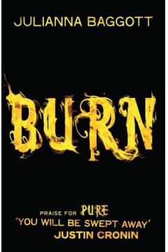 Książka - Burn