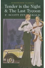 Książka - TENDER IS THE NIGHT AND THE LAST TYCOON  F. Scott Fitzgerald