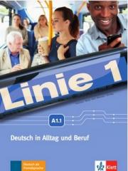 Książka - Linie 1 A1. 1. Podręcznik i ćwiczenia + dvd-rom