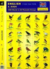 Książka - English. Find the pair. Birds