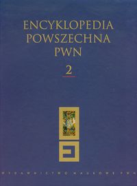 Książka - Encyklopedia Powszechna PWN Tom 2