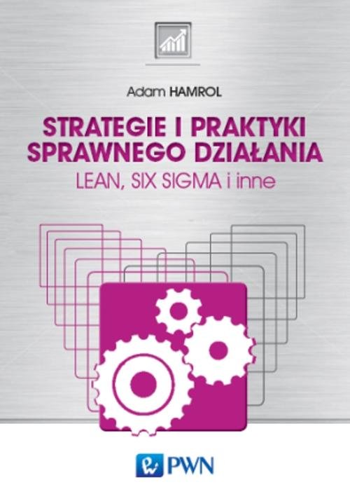 Książka - Strategie i praktyki sprawnego działania