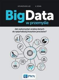 Książka - Big Data w przemyśle
