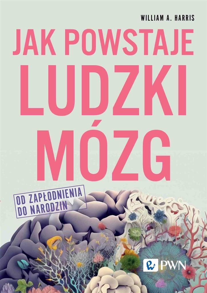 Książka - Jak powstaje ludzki mózg