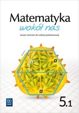 Książka - Matematyka Wokół nas SP 5/1 ćw. WSIP