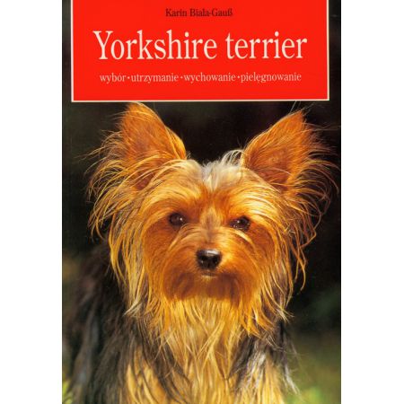 Yorkshire terrier