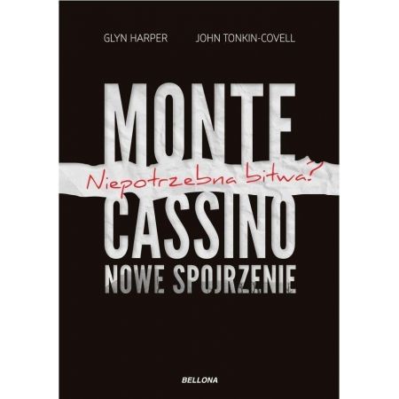 Monte Cassino - nowe spojrzenie