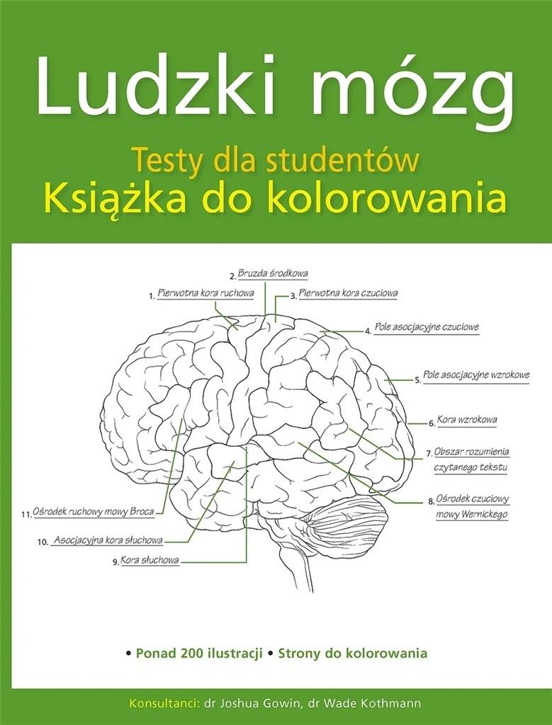 Książka - Ludzki mózg. Testy dla studentów