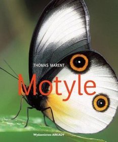Książka - Motyle