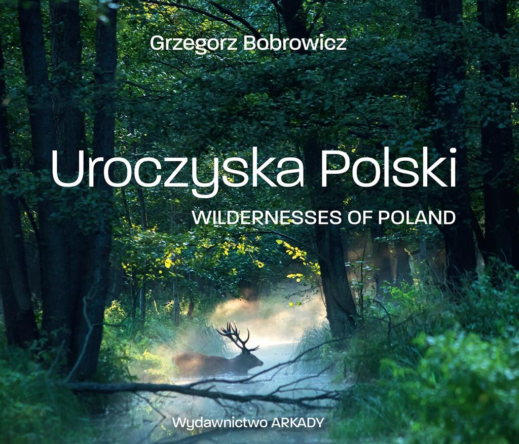 Książka - Uroczyska Polski