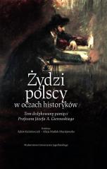Książka - Żydzi polscy w oczach historyków