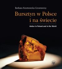 Książka - Bursztyn w Polsce i na świecie