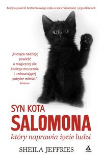 Książka - Syn kota Salomona, który naprawia życie ludzi