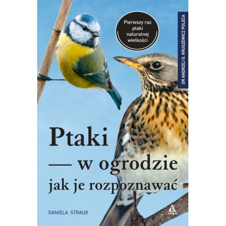 Ptaki w ogrodzie - jak je rozpoznawać