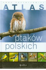 Książka - Atlas ptaków polskich