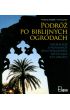 Książka - Podróż po biblijnych ogrodach