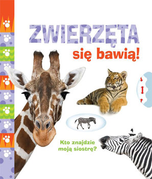 Zwierzęta się bawią! Kto znajdzie moją siostrę?