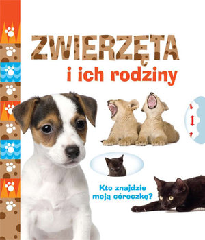 Zwierzęta i ich rodziny. Kto znajdzie moją córeczkę?