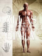Książka - Atlas budowy ludzkiego ciała