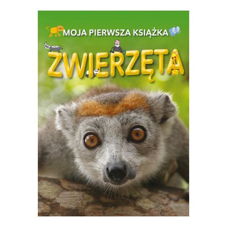 Moja pierwsza książka: Zwierzęta