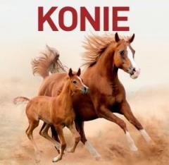 Książka - Konie 