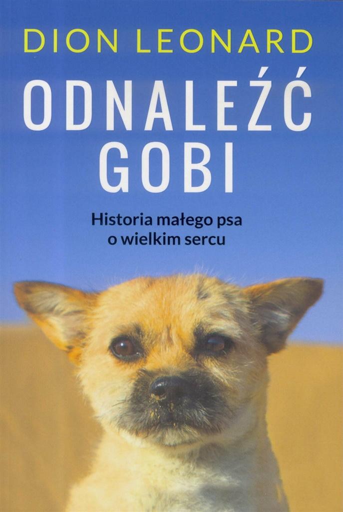 Odnaleźć Gobi