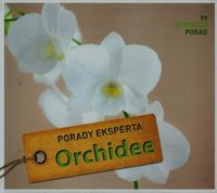 Książka - Orchidee