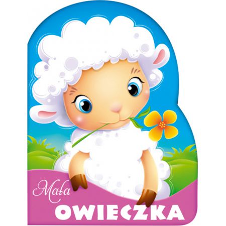 Mała owieczka