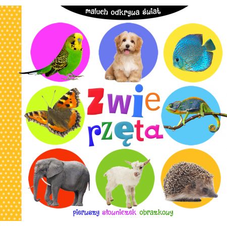 Zwierzęta. Maluch odkrywa świat