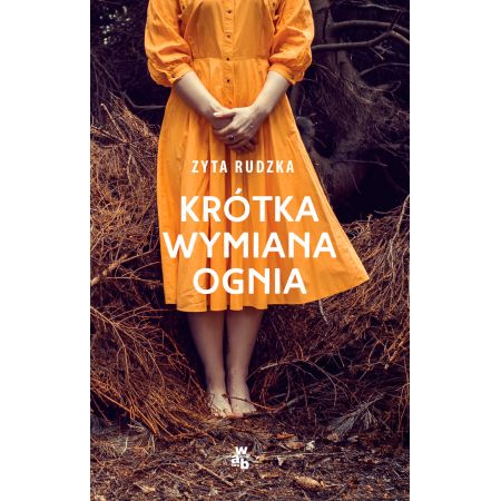 Krótka wymiana ognia