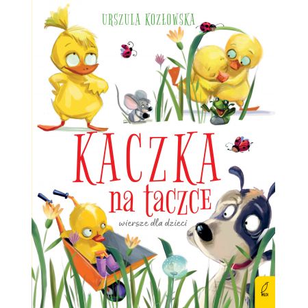 Kaczka na taczce wiersze dla dzieci