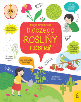 Co i jak? Dlaczego rośliny rosną