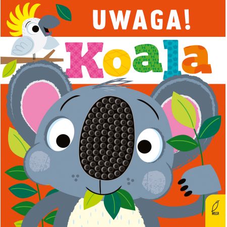 Uwaga, koala!