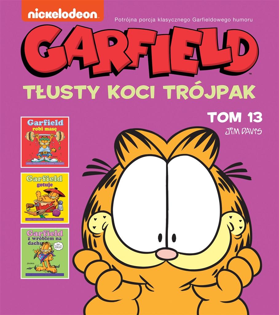 Książka - Garfield T.13 Tłusty koci trójpak