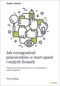 Książka - Jak wynagradzać pracowników w start - upach...