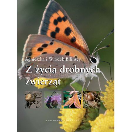 Z życia drobnych zwierząt