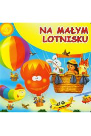 Książka - Na małym lotnisku