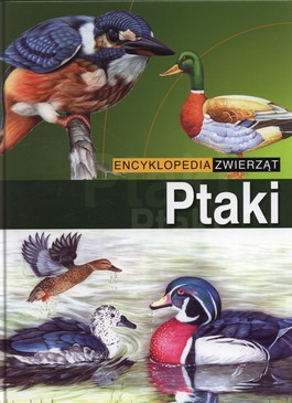 Książka - Ptaki. Encyklopedia zwierząt