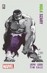 Książka - Hulk Szary