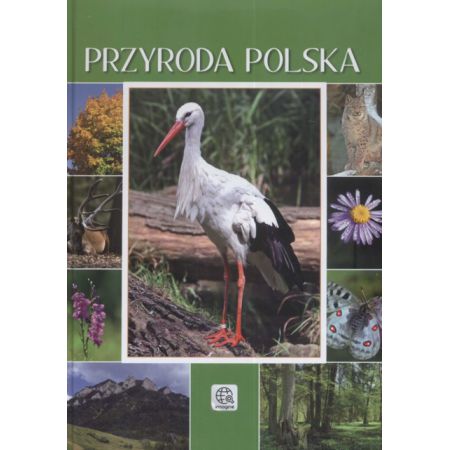 Przyroda polska