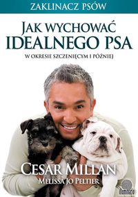 Książka - Jak wychować idealnego psa