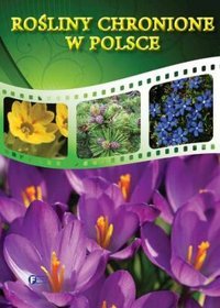 Książka - Rośliny chronione w Polsce