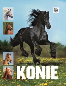 Konie