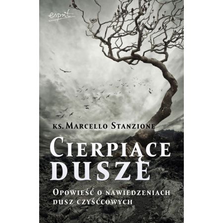 Książka - Cierpiące dusze. Opowieść o nawiedzeniach dusz czyśćcowych