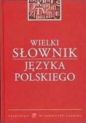 Książka - Wielki słownik języka polskiego