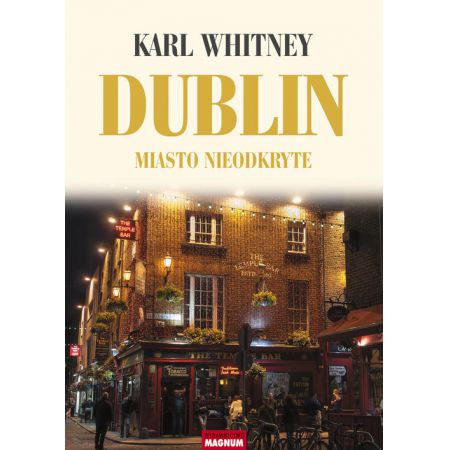 Dublin. Miasto nieodkryte