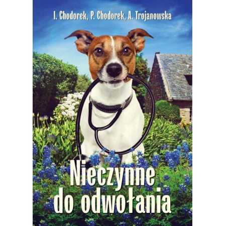 Nieczynne do  odwołania