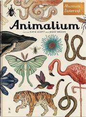 Książka - Animalium