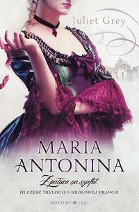 Książka - Maria Antonina. Z pałacu na szafot